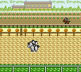 Pocket GI Stable (Japan) In game screenshot